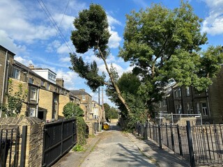 Back street with Victorian houses, a waste skip, and overhanging trees near,  Bertram Road, in the post industrial city of, Bradford, UK