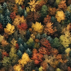 Seamless. Top view of the autumn forest