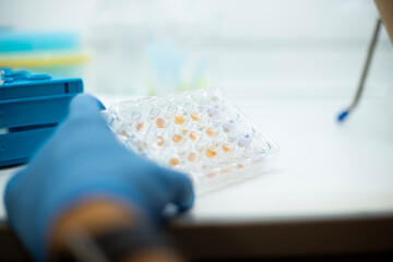 biology medicine and medical laboratory photo and cell culturing multi well plate and pipette safety cabinet