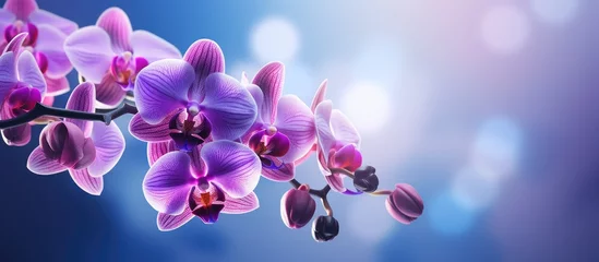 Fotobehang Close up photo of an Orchids blossom © vxnaghiyev