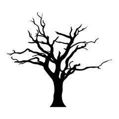 Halloween naked tree silhouette.Scary black tree.Vector illustration isolated on white background.