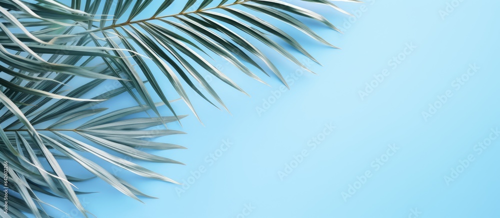 Poster palm leaves create a creative backdrop for advertising with a pastel blue aesthetic abstract texture