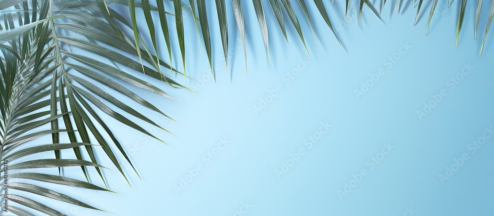 Poster palm leaves create a creative backdrop for advertising with a pastel blue aesthetic abstract texture