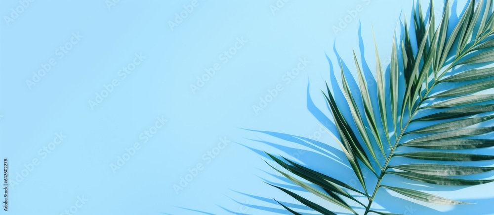 Poster palm leaves create a creative backdrop for advertising with a pastel blue aesthetic abstract texture
