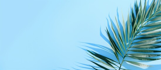 Palm leaves create a creative backdrop for advertising with a pastel blue aesthetic abstract texture and banner with copy space