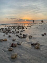 Sonnenuntergang am Strand mit Muscheln