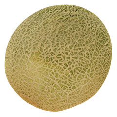 cantaloupe fruit isolated on transparent background 3D render illustration