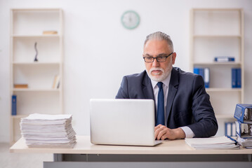 Old male employee working in the office