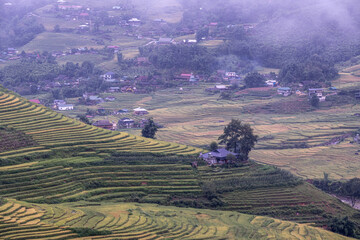 Rice terraces are the development of rural gardeners.