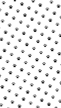 Dog Paws Silhouette Animated Background Black and White - Vertical 4K Video