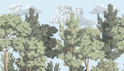 Forest with cloud nature mural. Landscape border.  - 642635226
