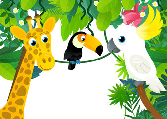 Fototapeta na wymiar cartoon scene with jungle and animals and parrot bird being together as frame illustration for children