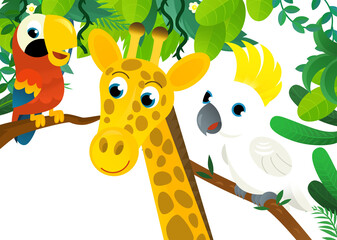 Obraz premium cartoon scene with jungle and animals and parrot bird being together as frame illustration for children