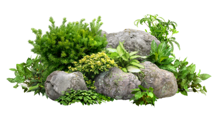 Cutout rock surrounded by flowers. Garden design isolated on transparent background. Flowering shrub and green plants for landscaping. Decorative shrub and flower bed