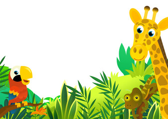 cartoon scene with jungle and animals and parrot bird being together as frame illustration for children