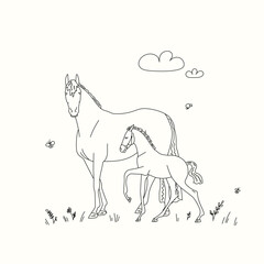 Horse with a foal in a meadow surrounded by wildflowers and butterflies, a linear drawing for colouring page