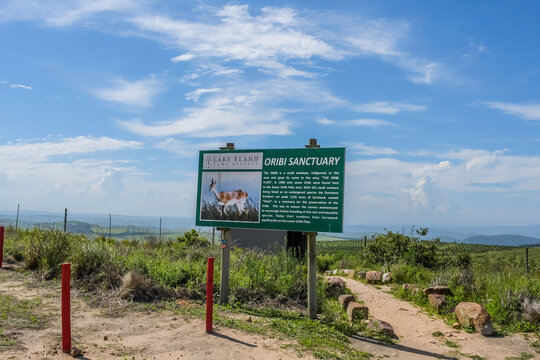 Lake Eland Nature reserve in Oribi gorge with a hanging suspension bridge