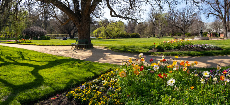 Beautiful panorama view of Castlemaine Botanical Garden with clean and neat grass lawn, flowers , large open outdoor space, and some people sitting on the ground to enjoy sunshine. VIC Australia.