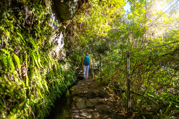 Backpacker toursit walks along sunny rainforst water channel hike trail overgrown with trees. Levada of Caldeirão Verde, Madeira Island, Portugal, Europe.