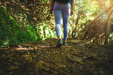 Low angle shot of toursit legs walking along sunny rainforst water channel trail overgrown with trees. Levada of Caldeirão Verde, Madeira Island, Portugal, Europe. - obrazy, fototapety, plakaty