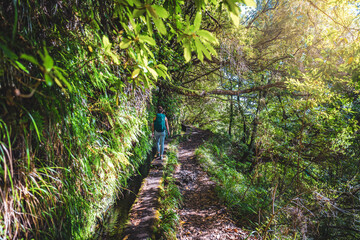 Backpacker toursit hiking on water channnel wall along sunny rainforst trail covered with trees....