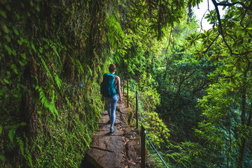 Fototapeta premium Female backpacker walking along rainforest water channel path on steep cliff covered with plants. Levada of Caldeirão Verde, Madeira Island, Portugal, Europe.