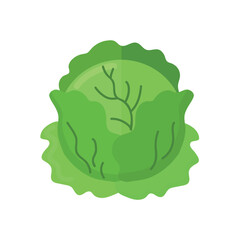 Cabbage icon clipart avatar logotype isolated vector illustration