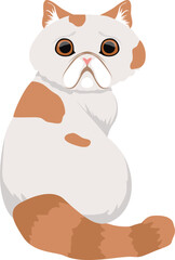 Persian cat icon. Feline breed. Funny pet