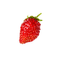 One ripe wild strawberry isolated on white