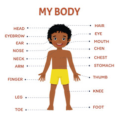 Cute little African boy illustration poster of human body parts with diagram text label chart for kids learning educational purpose