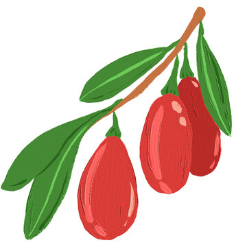 Goji berry fruit oil paint illustration