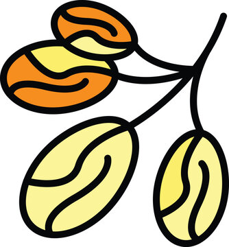 Arabic date fruit icon outline vector. Palm food. Sweet dry color flat