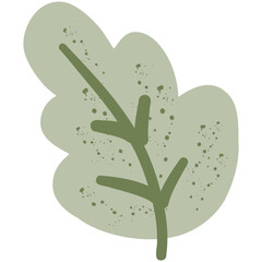 Obraz premium Oak Textured Leaf