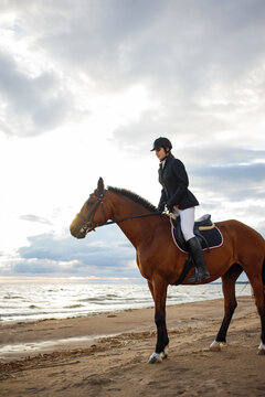 Equestrian sports. A young woman, a rider and her horse, portrait against a clear sky