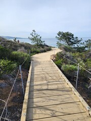 wooden bridge over the river
