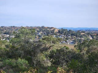 view of the city