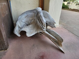sculpture of a horse