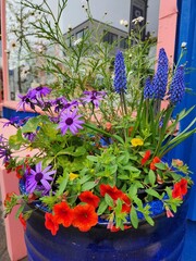 flowers in pots on the street