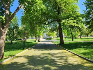 alley in the park