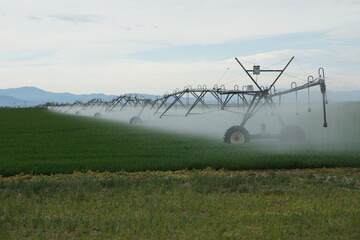 irrigation system in field
