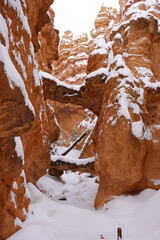 Snow-covered Bryce Canyon