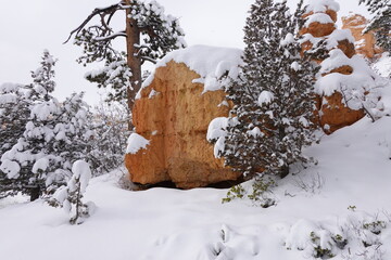 Snow-covered Bryce Canyon