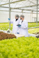 Hydroponic scientists assess solutions in flask, promoting sustainable growth with optimal nutrient
