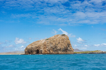 Nesting grounds in the galapagos