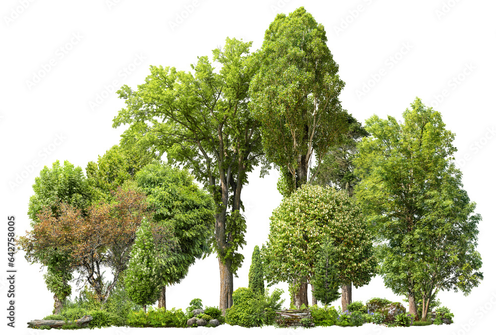 Fototapete cutout tree line. forest and green foliage in summer. row of trees and shrubs isolated on transparen
