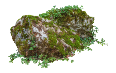 Cut out mossy rocks. Ancient boulder with moss isolated on transparent background. Large stone covered by ivy.	
