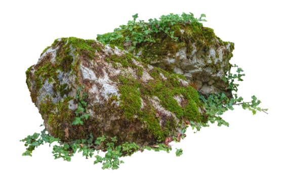 Cut out mossy rocks. Ancient boulder with moss isolated on transparent background. Large stone covered by ivy.	
