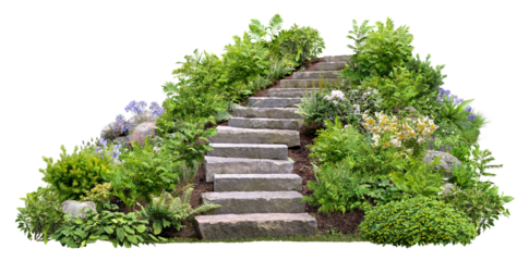 Cut out stairs made of large stone steps. Staircase lined with green plants for landscaping or garden design. Rock steps isolated on transparent background