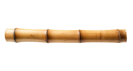 Piece of bamboo trunk isolated on transparent background
