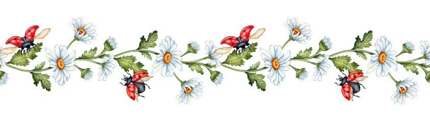 Horizontal Pattern of white daisies and red ladybugs isolated on white background. Botanical illustration. Great pattern for kitchen, home decor, stationery, wedding invitations and clothing printing. © AliCris